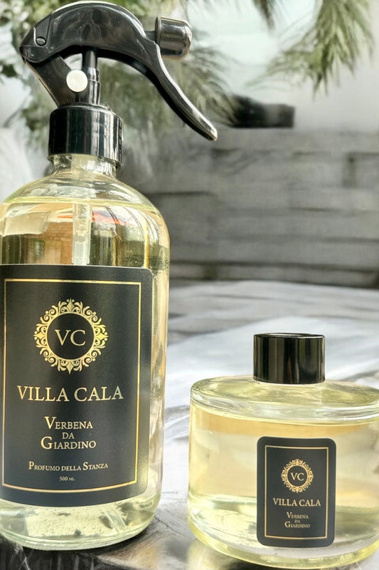 Pack Verbena Da Giardino